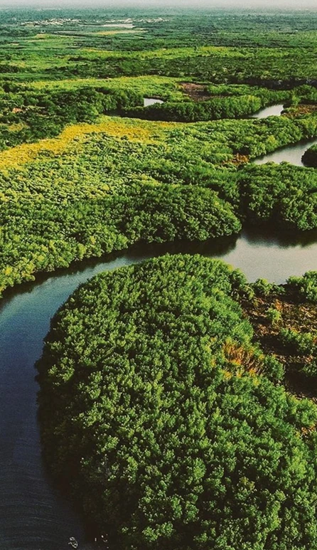 Compromiso ambiental